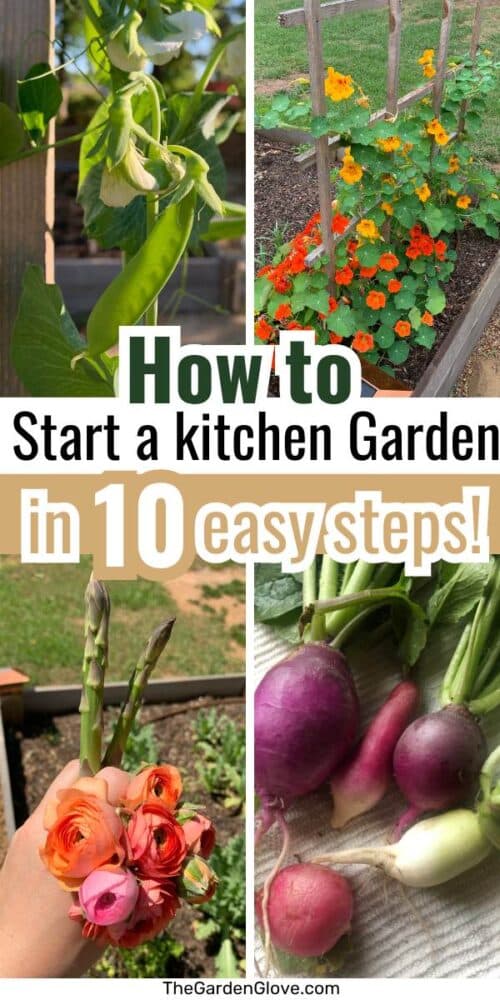 collage of photos from my kitchen garden with a text overlay readying "how to start a kitchen garden in 10 easy steps!"