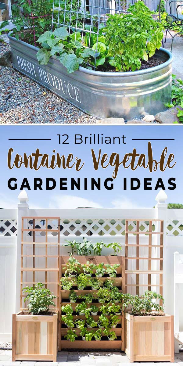 12 Brilliant Container Vegetable Gardening Ideas