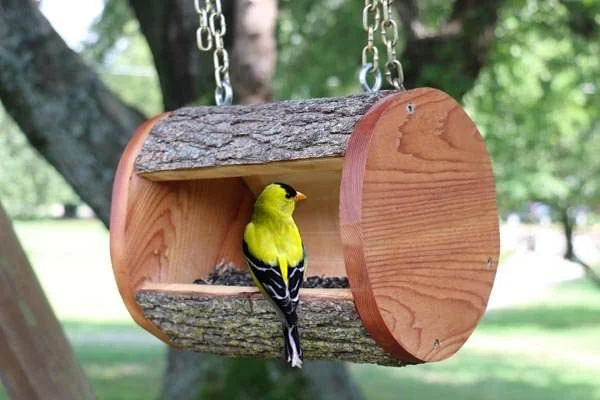 diy bird feeder ideas