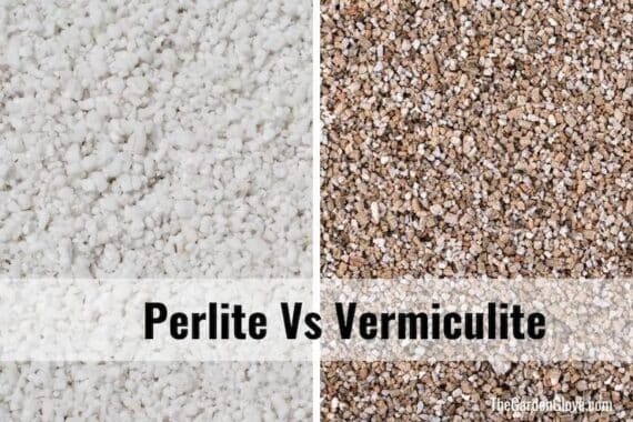 side by side close up photos of perlite and vermiculite