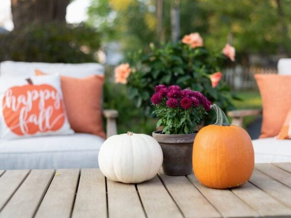 small pumpkins and a small potted mums plant on a table in front of a chair with a "happy fall" pillow in the background