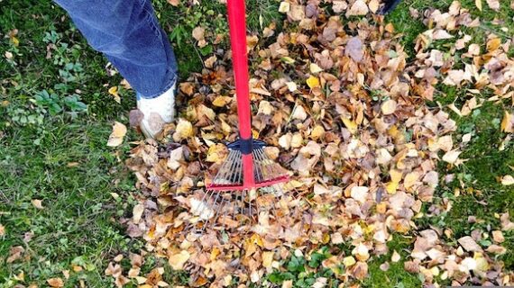 fall garden cleanup - fall leaves