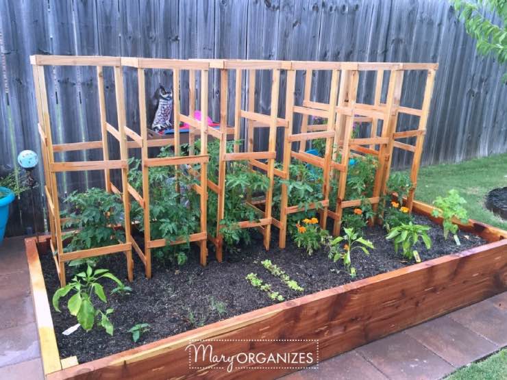 large wooden tomato cages in a raised bed