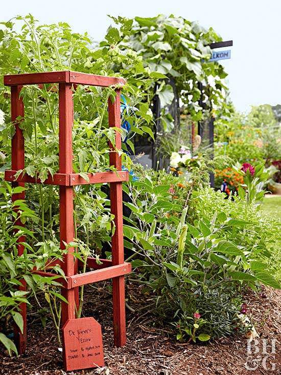 small red wooden tomato cage