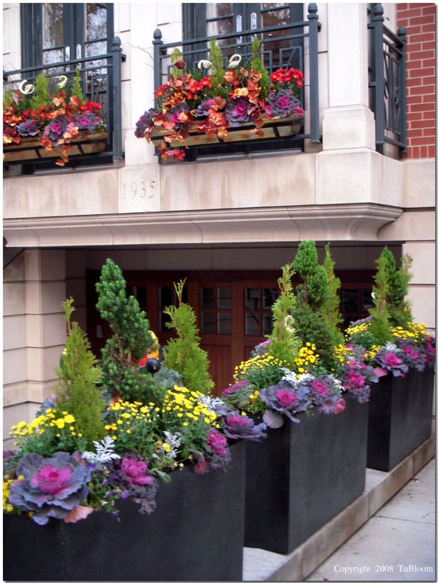 Fall container garden