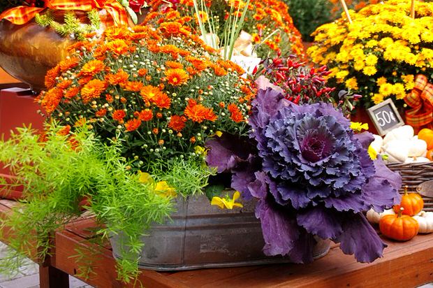 Fall Planter Wow in 3 Easy Steps