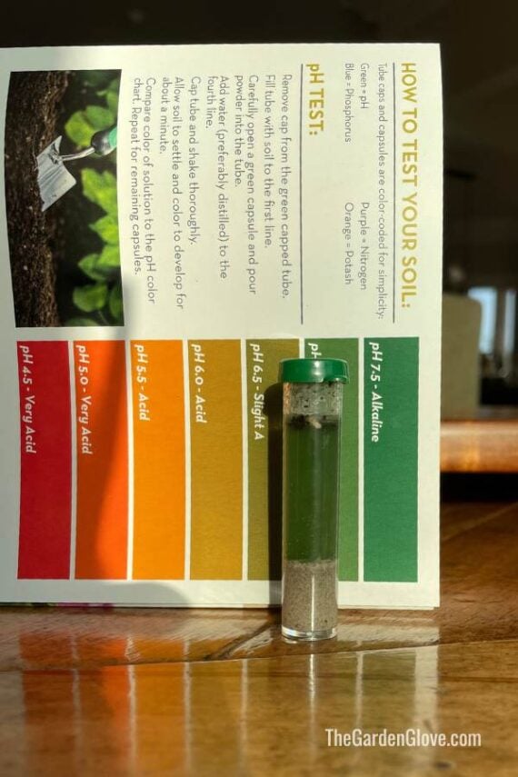 test tube with colored water after Ph test development 