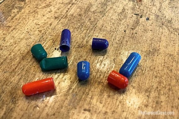 opened capsules of testing powders