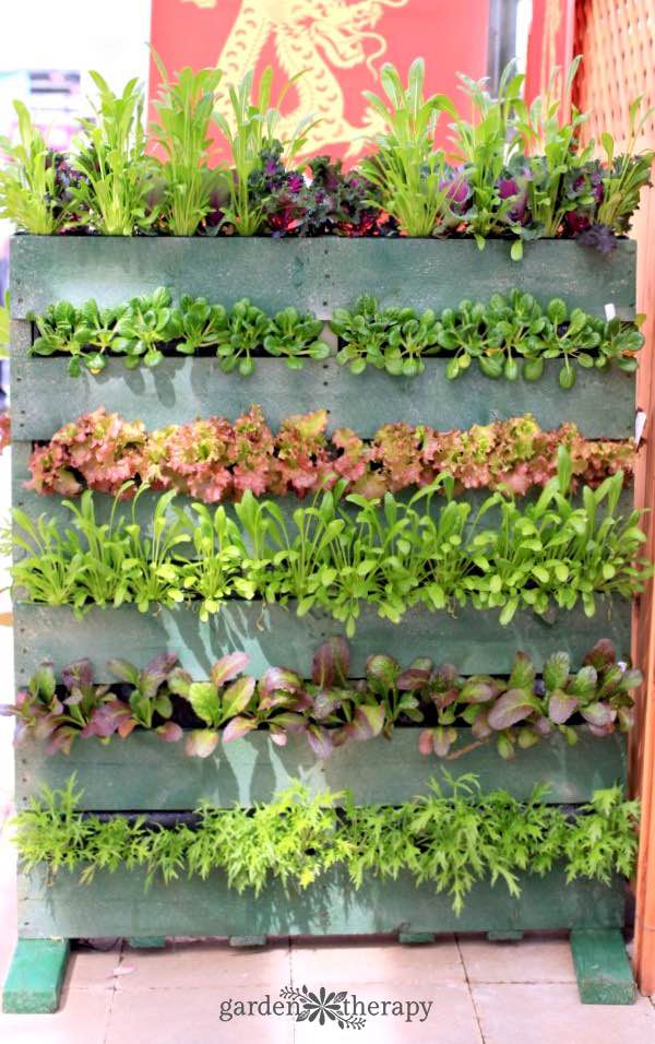 pallet vertical garden planter