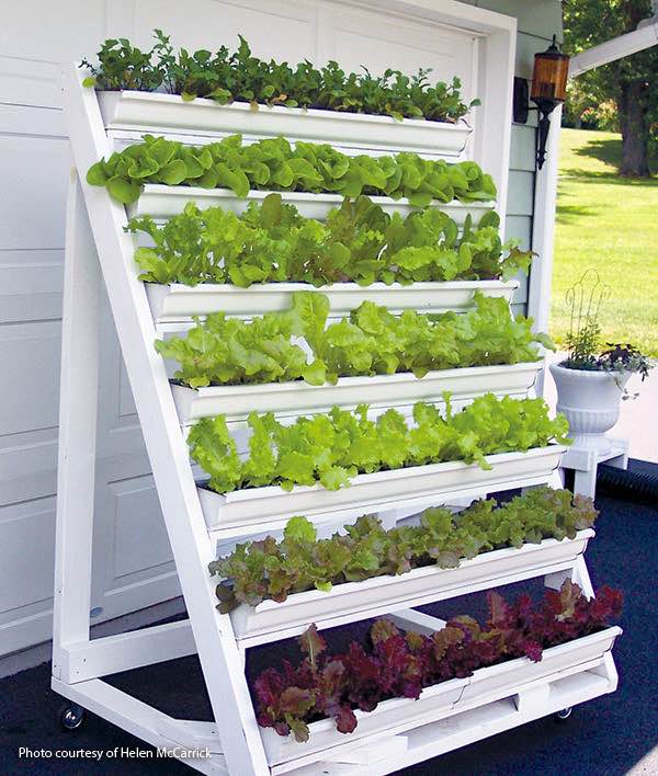 diy hydroponic vertical garden using rain gutters