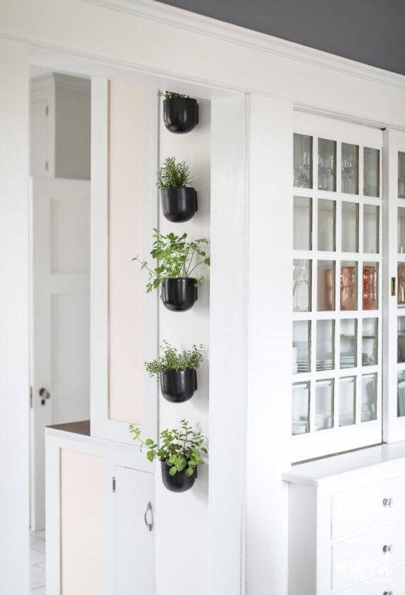 mini planters hung on kitchen wall