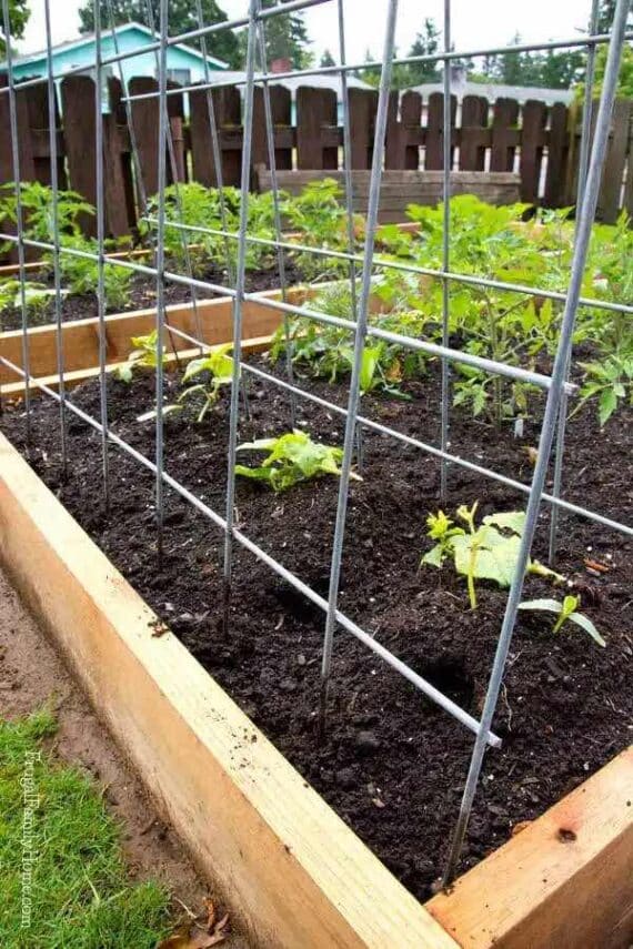 DIY trellis for vertical gardening in a raised bed