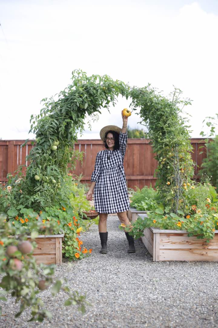 DIY Vertical Vegetable Garden Ideas & Projects: cattle panel garden arch