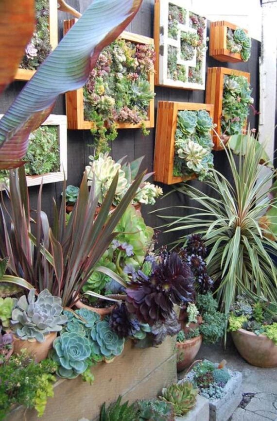 DIY vertical garden frames