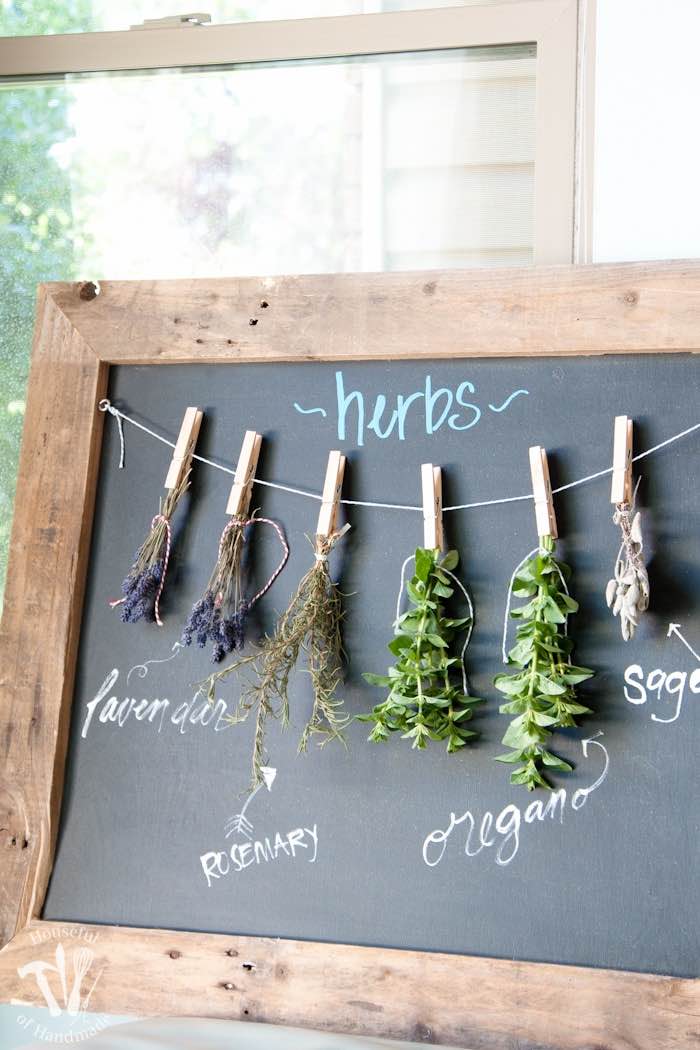 How To Dry, Freeze and Shield Herbs • The Yard Glove