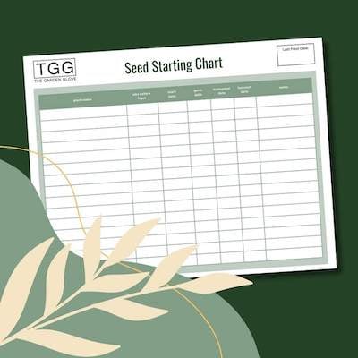 preview photo of a seed starting chart