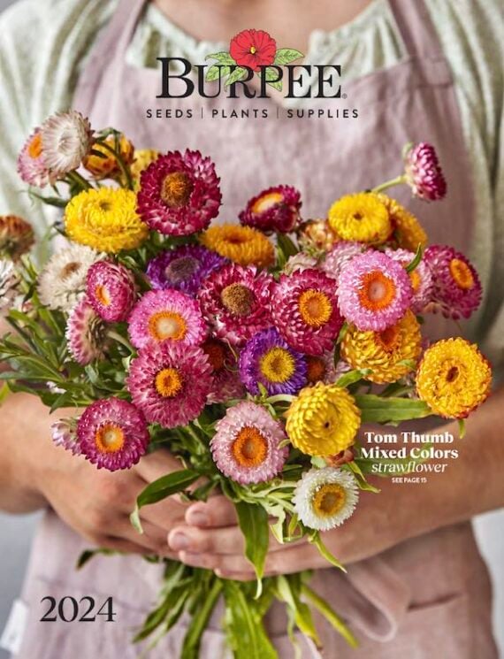 Burpee seed catalog cover