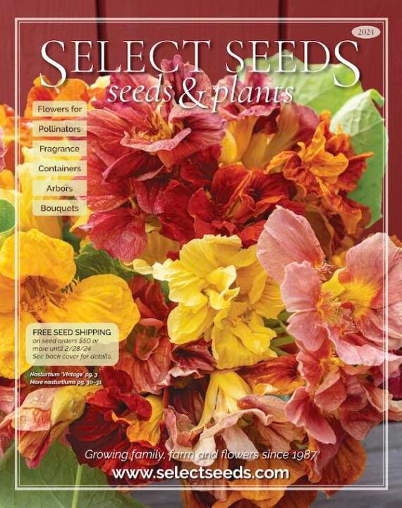 cover page of the select seeds catalog