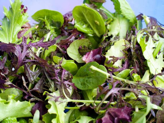 variety of cut lettuce leaves