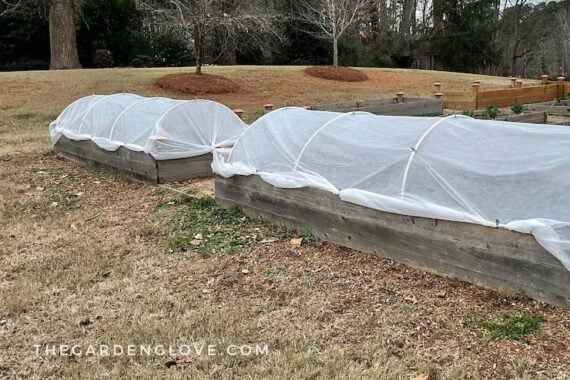 DIY raised bed frost cover using pex pipes and frost cloth over two raised beds