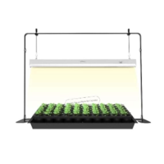 seed starting tray set up with a grow light