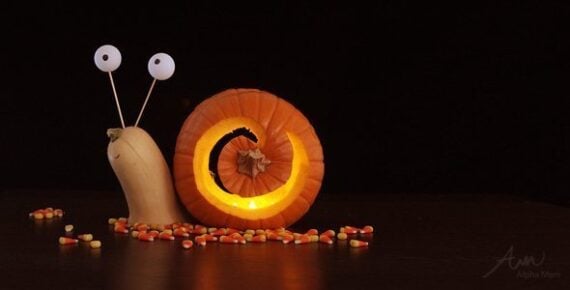 small pumpkin carved into a snail shell shape with a butternut squash as the snail head