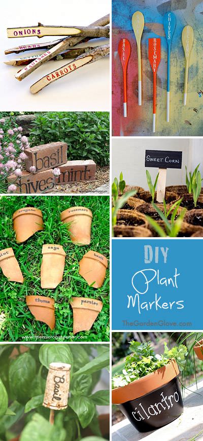 Easy Plant Markers & Labels You Can Make