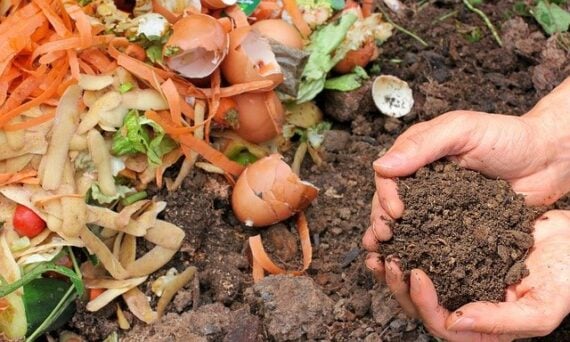 composting materials and finished compost