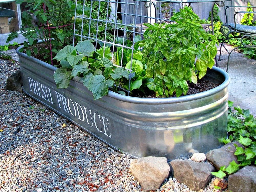 12 Good Container Vegetable Gardening Ideas • The Yard Glove