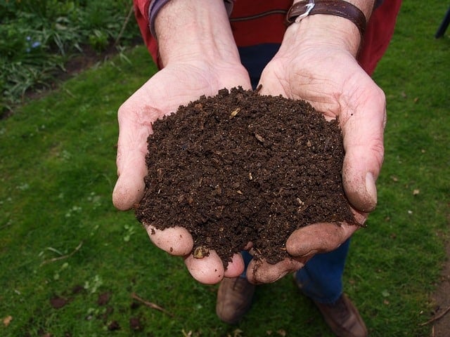 soil amendments for fall garden cleanup