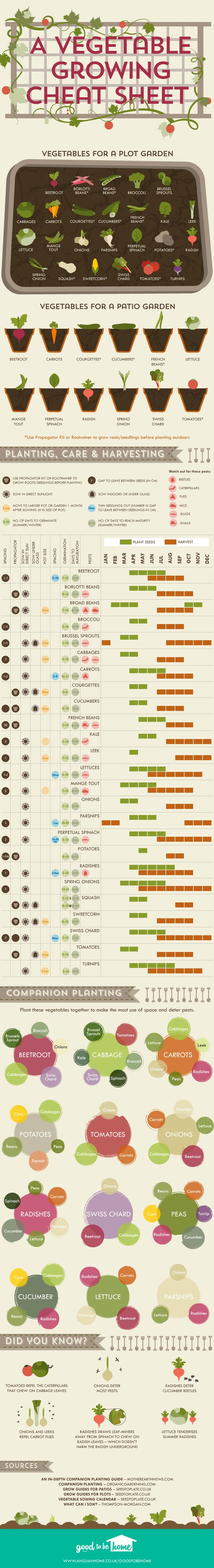 Vegetable-growing-cheat-sheet