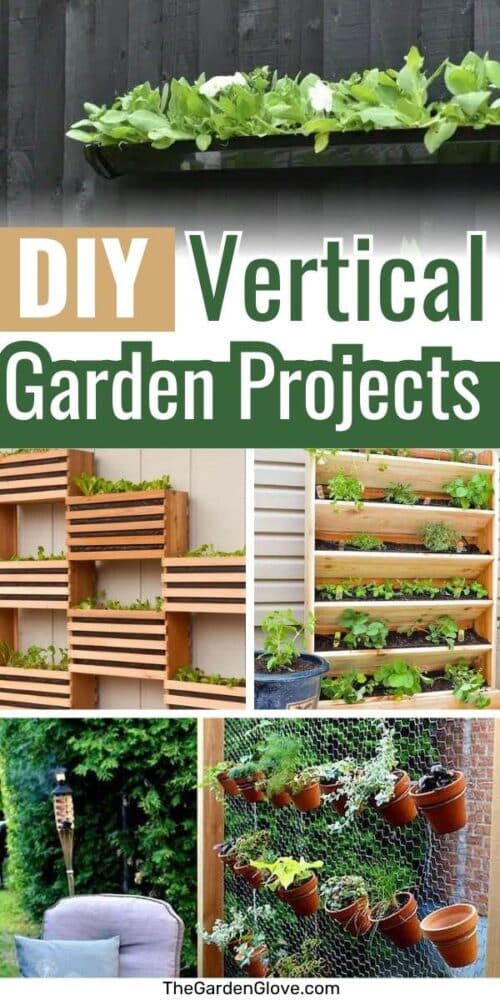 Collage of diy vertical garden ideas