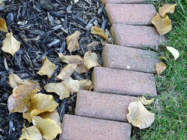 mulch in a garden acting as a weed suppressant