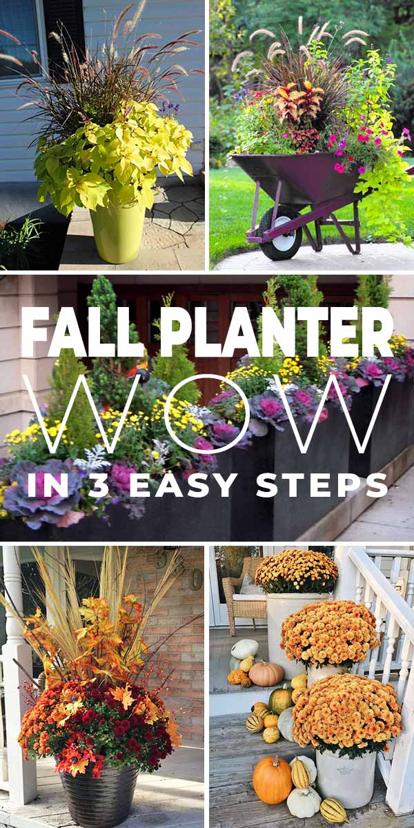 Fall Planter Ideas - Wow in 3 Easy Steps