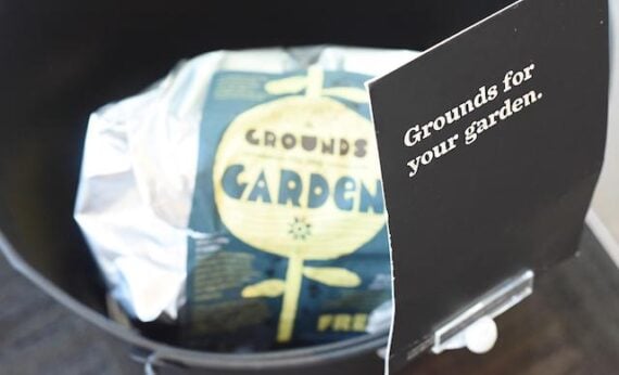 grounds for your garden at Starbucks