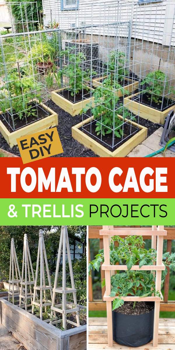 Easy DIY Tomato Cage & Trellis Ideas