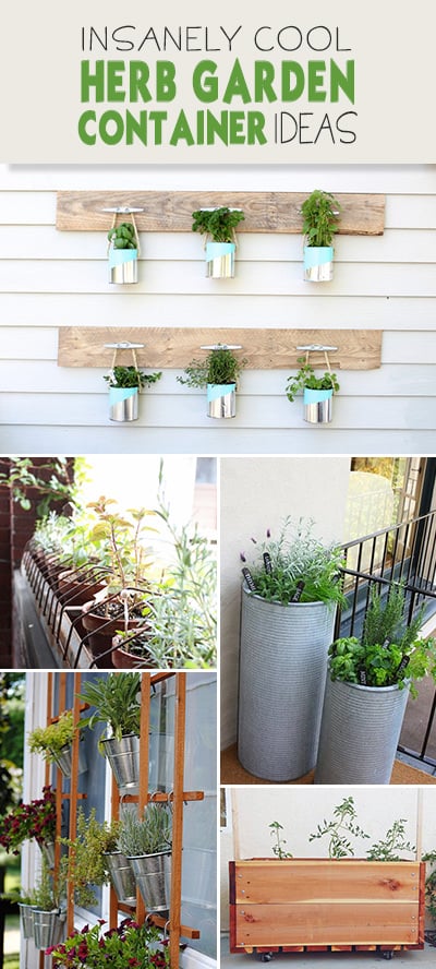 Insanely Cool Herb Garden Container Ideas