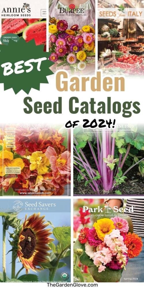 collage of seed catalog cover photos