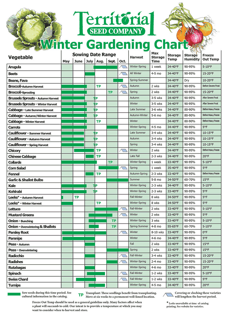 When Should I Plant What? Seed Starting Calendars