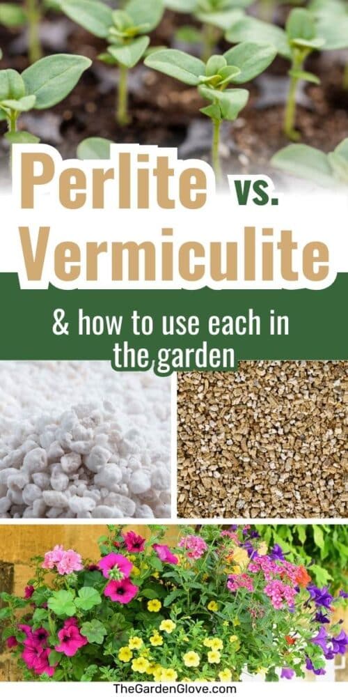 perlite vs vermiculite