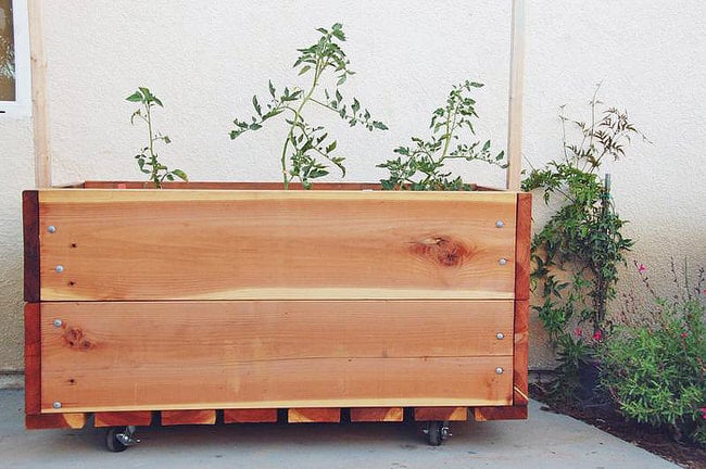 Insanely Cool Herb Yard Container Ideas • The Yard Glove